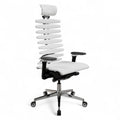 Metal Frame Equalizer Ergonomic Executive Chair
