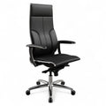 Metal Frame Samurai 1 Ergonomic Executive Chair